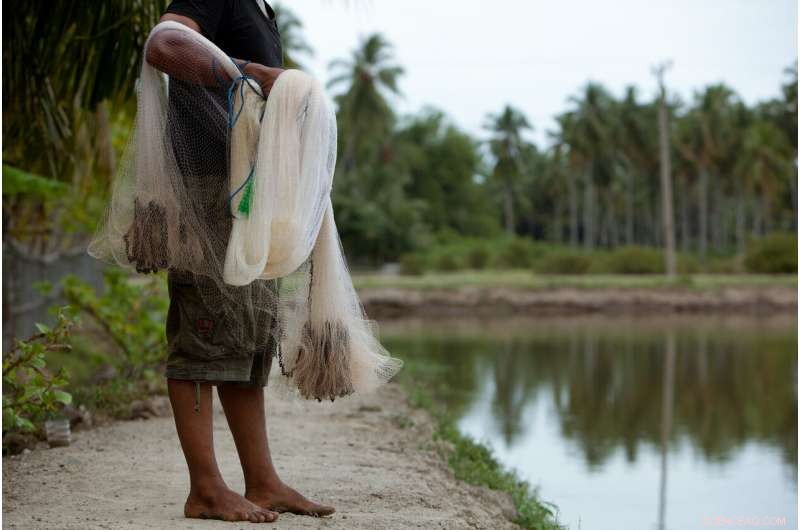 COVID-19’s Impact on Fisheries: Fishers Facing Poverty