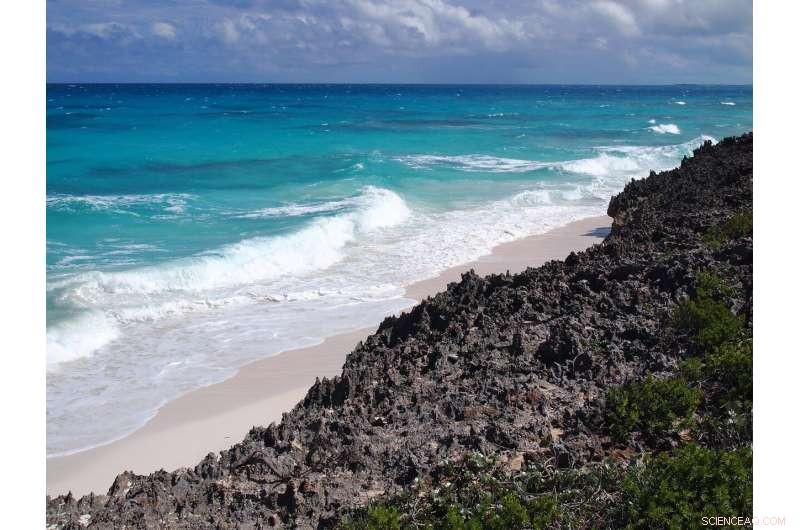 New Research Reveals Early Settlement of the Bahamas and Its Transformative Impact on the Landscape