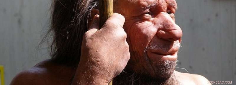 New Scientific Consensus Challenges Old Theory on Neanderthal Extinction