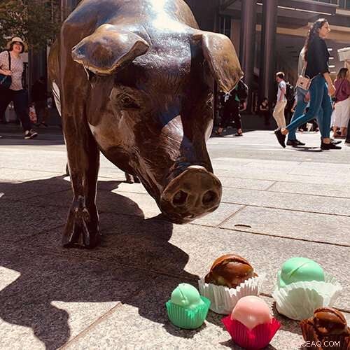 Frog Cakes and Fruchocs: Local Delicacies Drive Tourism Revenue