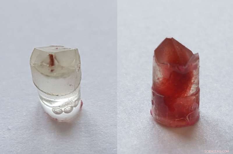 X-ray Microscopy Uncovers Siberian Iron Age Textile Dyers  Mastery