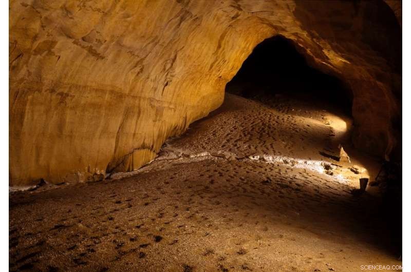 Ojo Guareña: Unearthing 4,600‑Year‑Old Human Footprints