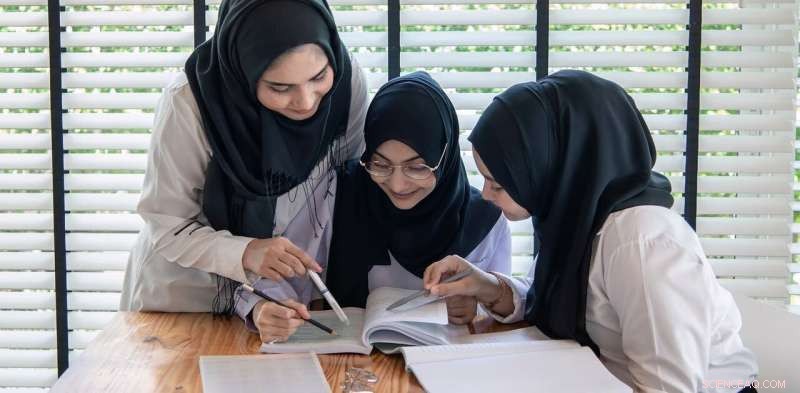 High Enrollment in Math and Science Among Islamic School Students May Narrow Career Choices
