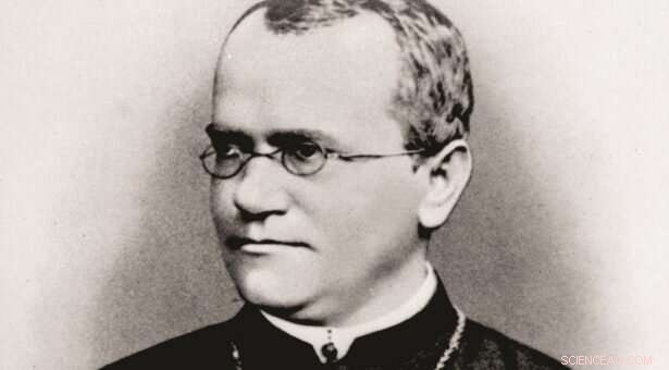 Uncovering Gregor Mendel’s Journey: How Digital Investigation Reveals the Life of the Father of Genetics