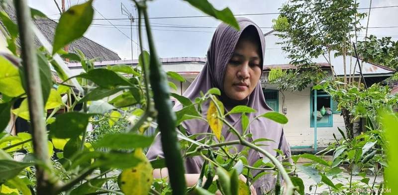 Migrant Communities: Unsung Environmental Stewards in Everyday Life