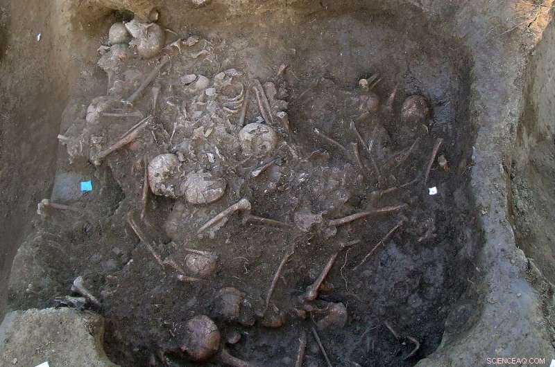 Genetic Study Uncovers Indiscriminate Killing in Ancient Potočani Massacre