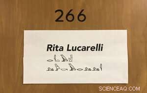 Immersive VR Journey: Egyptologist Recreates 2,500‑Year‑Old Tomb Experience