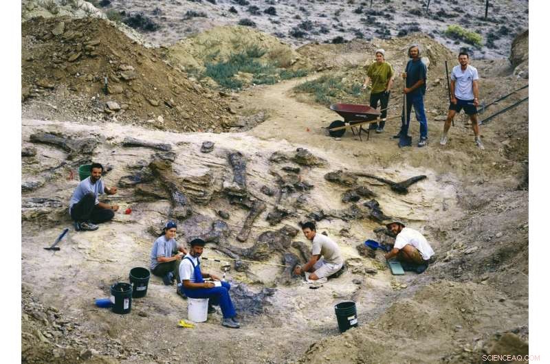 Microscopes Unlock Dinosaur Bone Mysteries