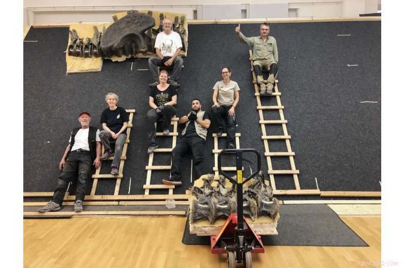 Microscopes Unlock Dinosaur Bone Mysteries