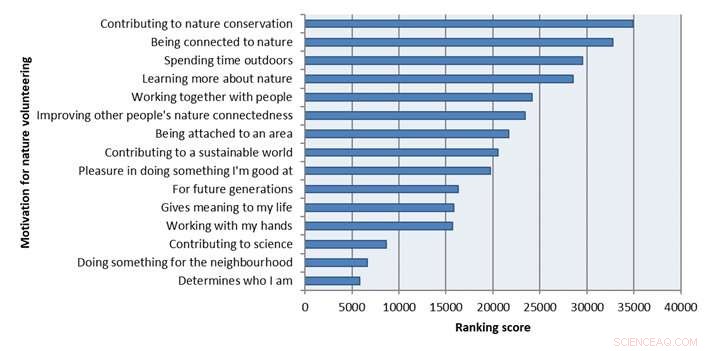 What Drives Green Volunteers: Uncovering the Motivations Behind Environmental Action