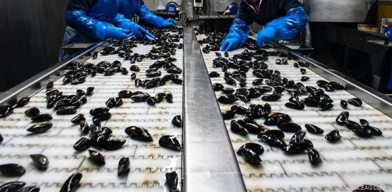 COVID‑19 Restrictions Prioritize Profits Over Health of Atlantic Canada’s Migrant Seafood Workers