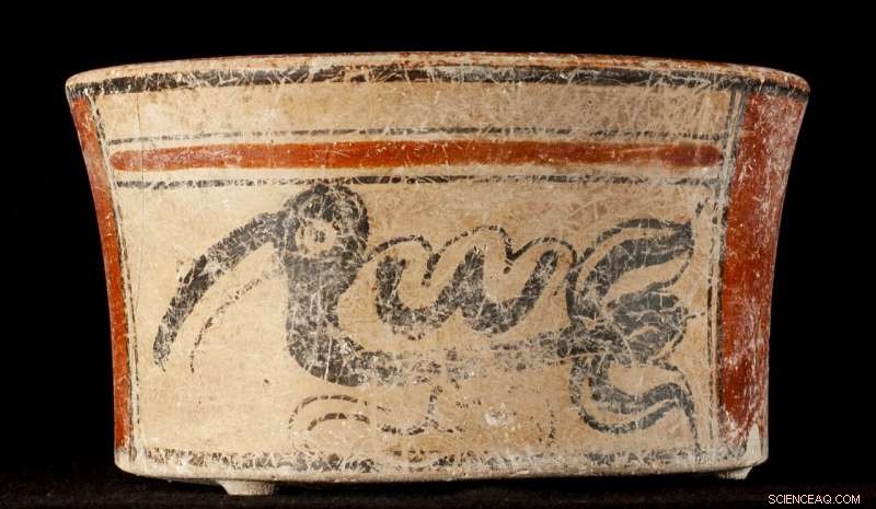 Ancient Maya Diplomat s Bones Reveal Life of Privilege and Hardship