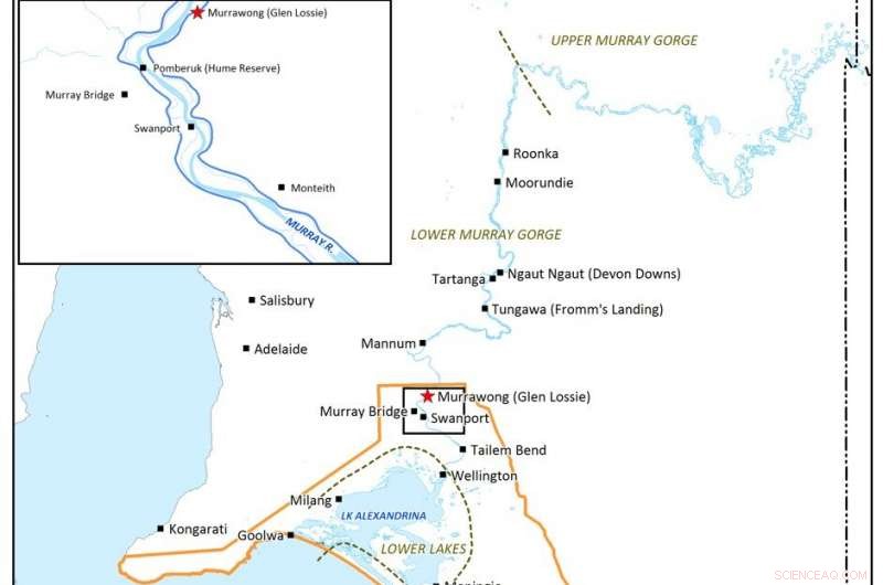 Rare Bone Artifact Unearthed Near Lower Murray River Reveals Ancient Cultural Heritage
