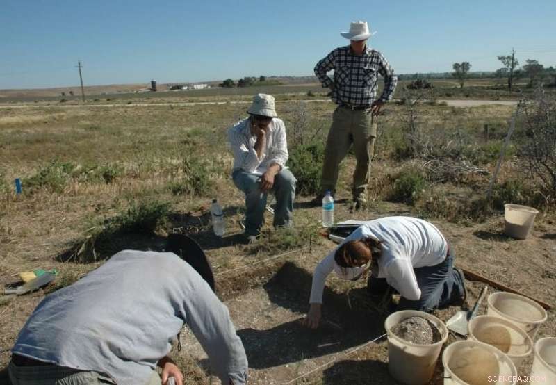 Rare Bone Artifact Unearthed Near Lower Murray River Reveals Ancient Cultural Heritage