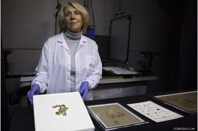 Israeli Experts Reveal New Dead Sea Scroll Fragments, Expanding Biblical Archive