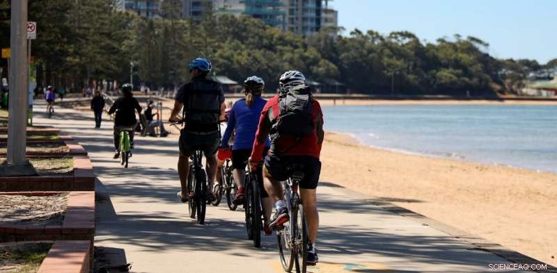 How a Third of Bike-Share Users Being Tourists Alters Urban Mobility Dynamics