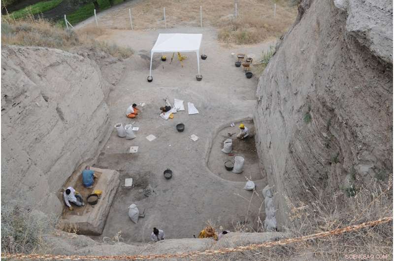 Early Neolithic Shepherds Battled High Juvenile Sheep Mortality, New Study Reveals