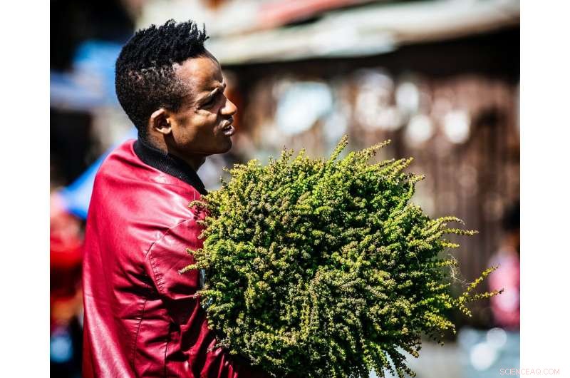 Study Reveals Lower Compliance with COVID-19 Restrictions Among Men and Ethnic Minorities