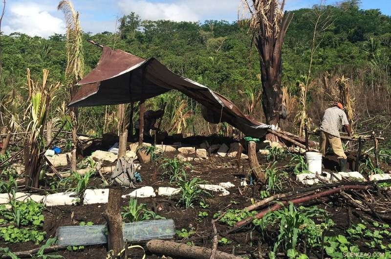 Archaeological Findings Reveal Wealth Inequality Linked to Despotic Governance in Ancient Maya Society