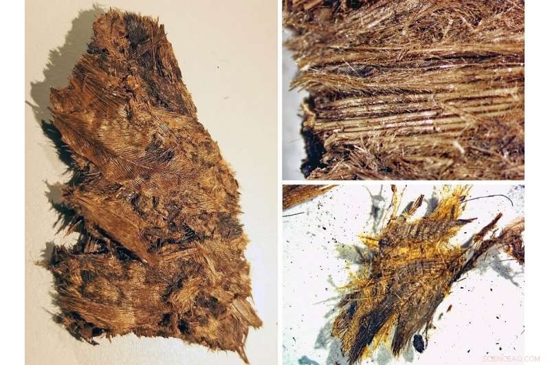 Viking Warriors  Bedding and the Afterlife: A Historical Insight