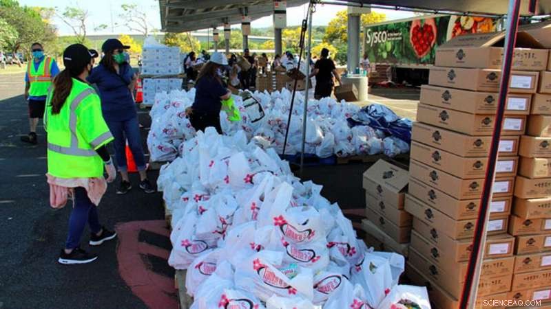 Nearly Half of Hawaii Families with Children Experience Food Insecurity