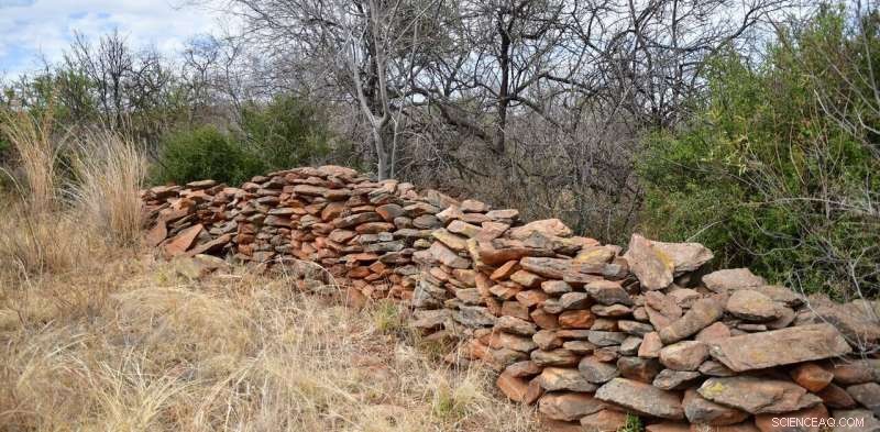 Newly Discovered Settlement in South Africa’s Cradle of Humankind Sheds Light on Early Human History