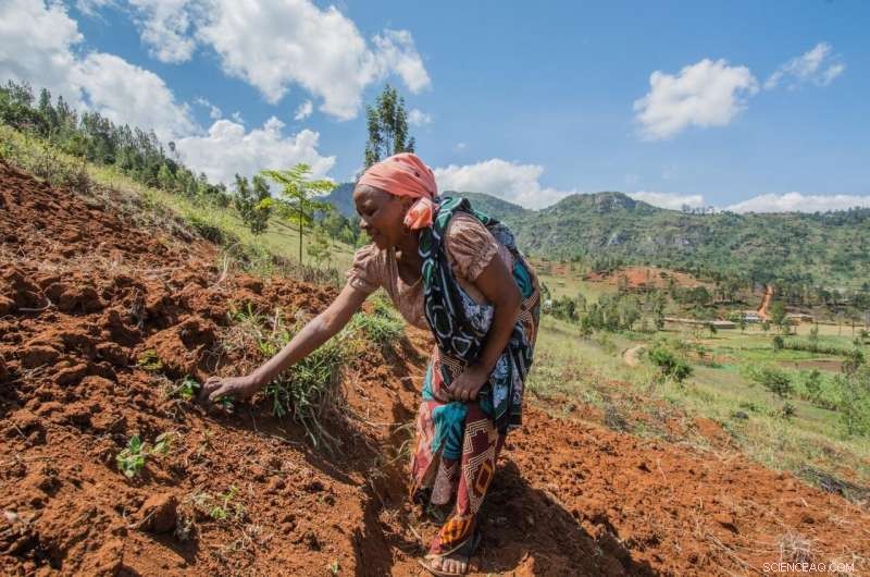 Study Reveals Gender Discrimination Cuts Crop Yields for African Smallholder Farmers