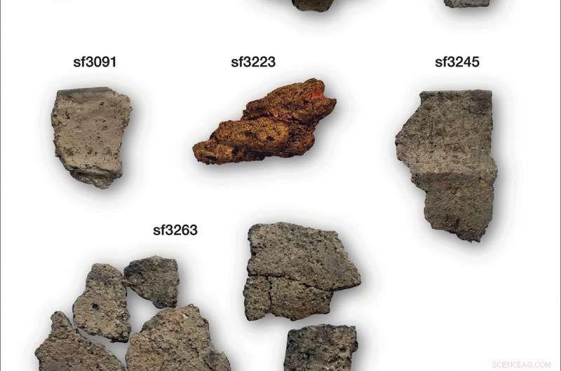 Ancient Neolithic Salt Extraction Revealed: 5,800-Year-Old Seawater Processing at Street House, Loftus