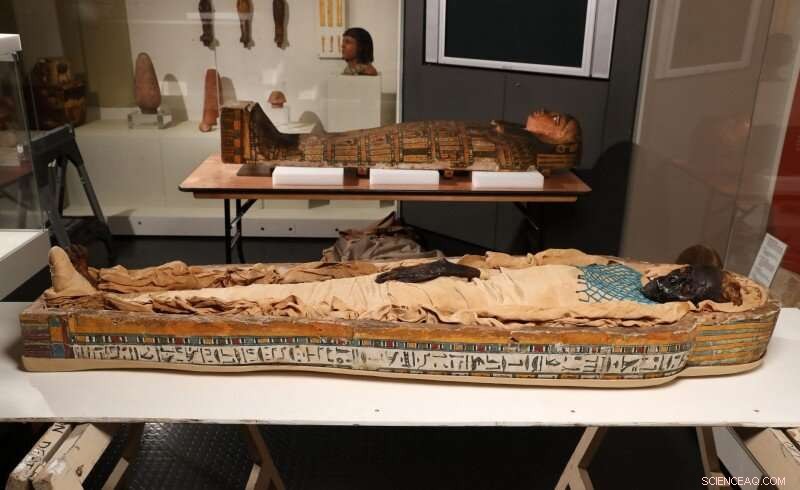 New Book Uncovers Likely Murder of Ancient Mummy Takabuti