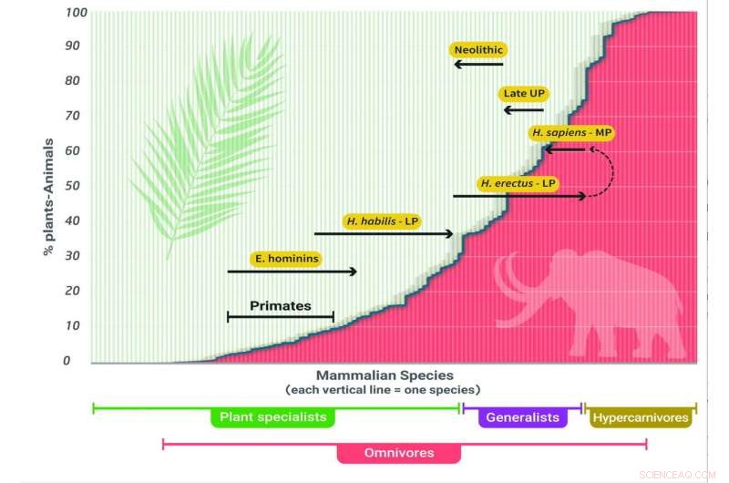 New Study Reveals Humans Were Apex Predators for 2 Million Years
