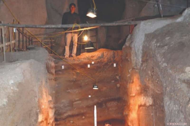 Baked Bat Guano Unlocks Secrets of Ancient Artifacts: Insights from Australian Archaeology