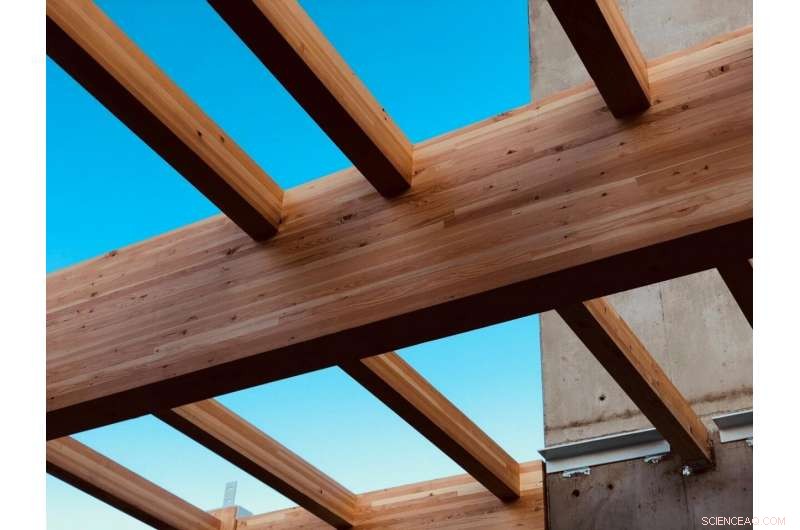 Oregon State Professor Unveils Economic Model to Forecast Lumber Price Fluctuations