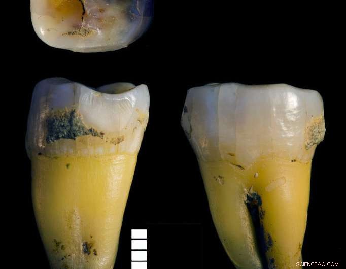 New Genetic Study Uncovers Hidden Ancient Human Migration Across Europe
