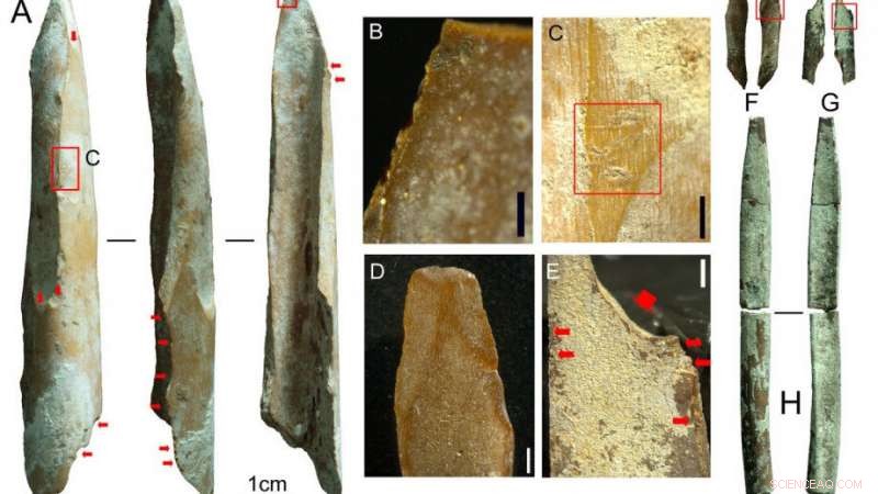 35,000-Year-Old Bone Tools Unearthed in Kimberley Cave Rank Among Australia s Earliest