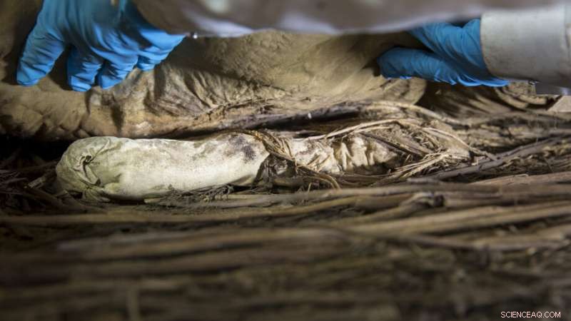 Ancient Bishop s Coffin Contains Fetus—DNA Reveals Grandson Relationship
