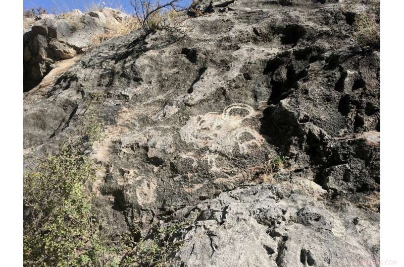 Early Neolithic Sheep Migration into Central Asia s Heartland