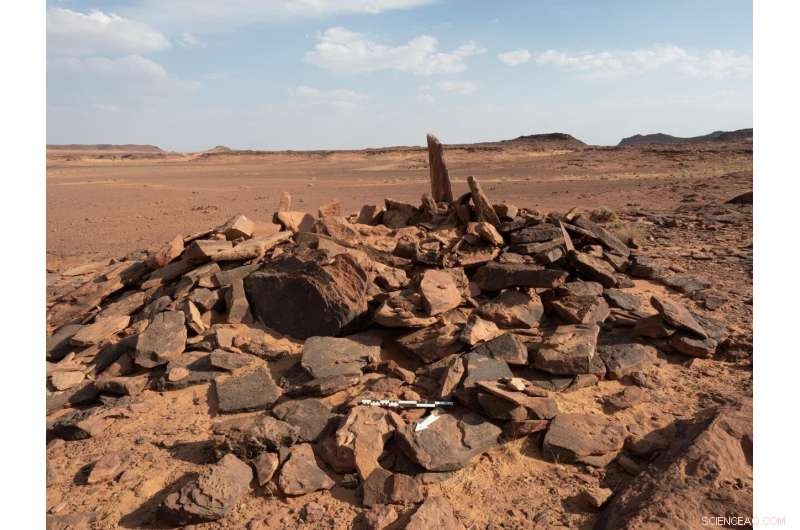 Earliest Evidence of Dog Domestication Found in Arabian Peninsula—A Breakthrough Archaeological Discovery