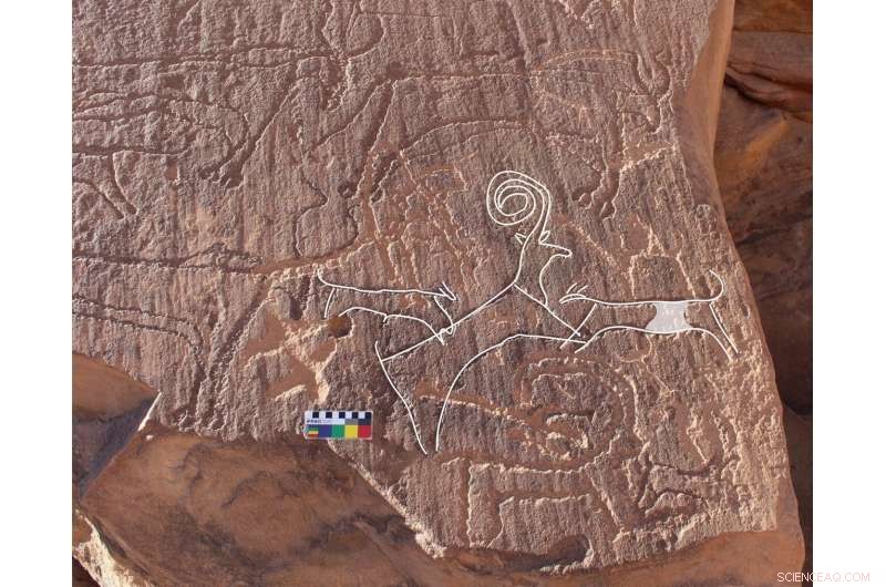 Earliest Evidence of Dog Domestication Found in Arabian Peninsula—A Breakthrough Archaeological Discovery