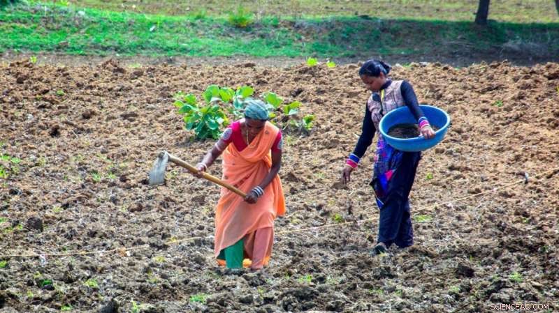 Reforming India s Ag Policies: Recognizing Women’s Domestic Burden