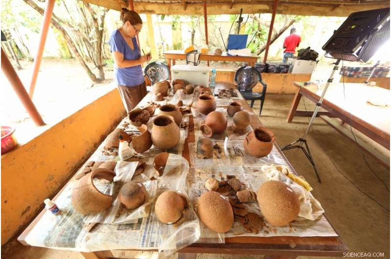 First Evidence of Honey Hunting in Prehistoric West Africa Unearthed from Ancient Pottery