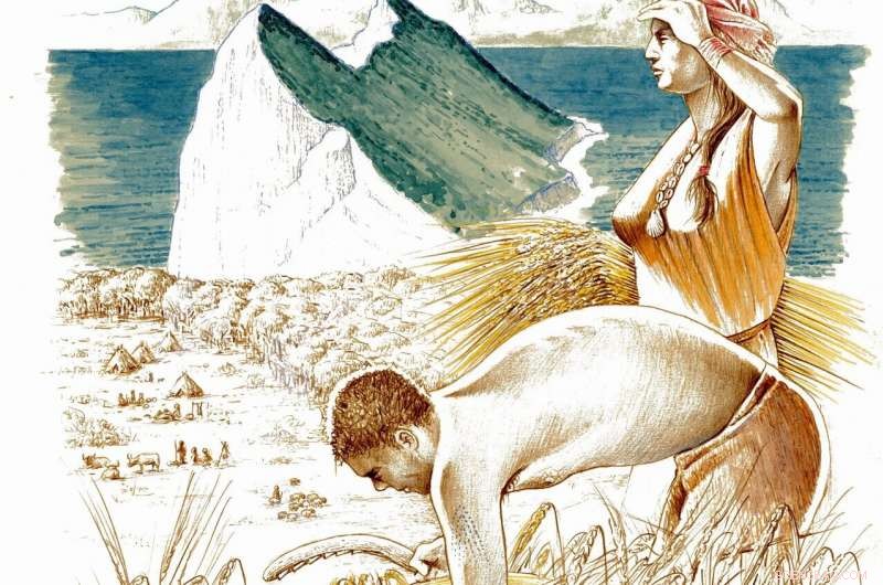 Neolithic Europe: Evidence of Sex-Based Labor Division in Early Farming