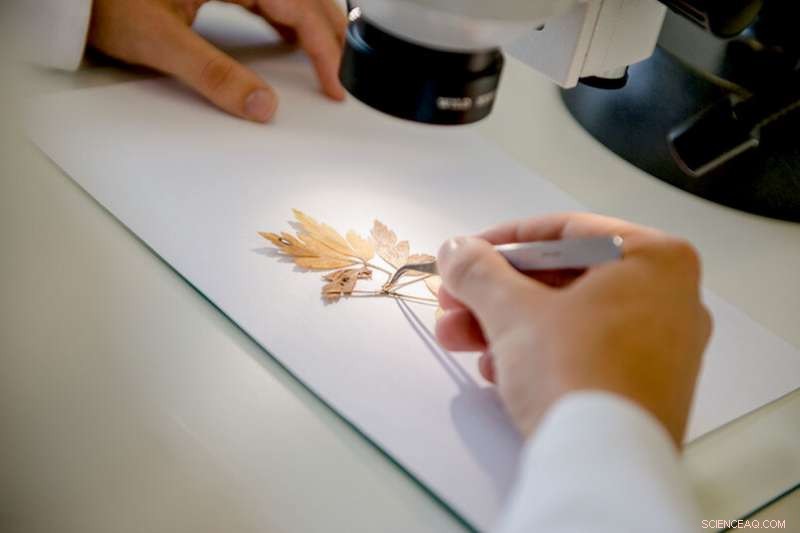 Objective Study of Student Stress in Classroom Settings