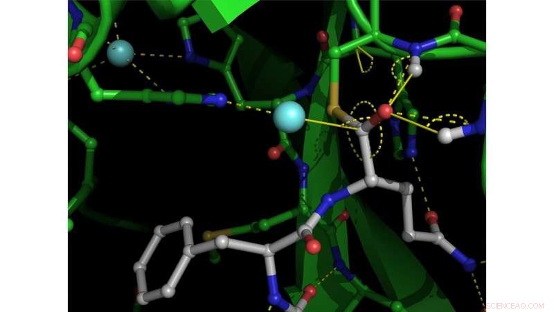Half of Children in Shared or Doubled‑Up Households Face Stability and Security Risks, Study Reveals