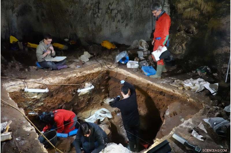 Sediment DNA Sheds Light on Ancient Human Evolution
