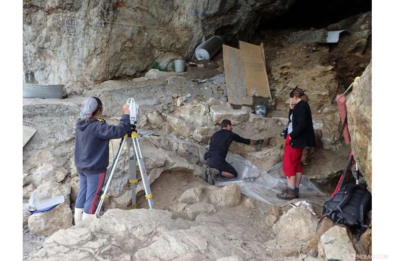 Sediment DNA Sheds Light on Ancient Human Evolution