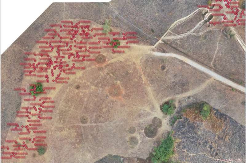 Unveiling Laos  Massive Stone Jars: Ancient Funerary Artifacts Revealed