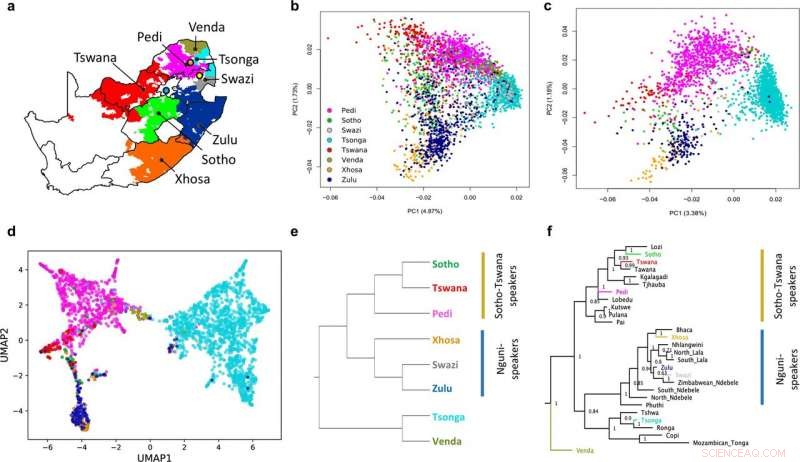 How Language Mirrors Your Genetic Heritage and Shapes Health Research