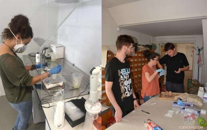 New Research Sheds Light on Diets of Ancient Inhabitants of the Great Hungarian Plain