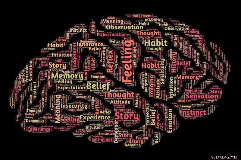 New Study Reveals How Theory of Mind Shapes Consumer Skepticism in Advertising