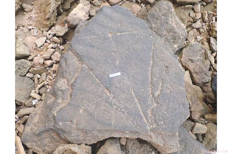 Decoding Triangular Rock Patterns: Clues to Our Human Ancestors